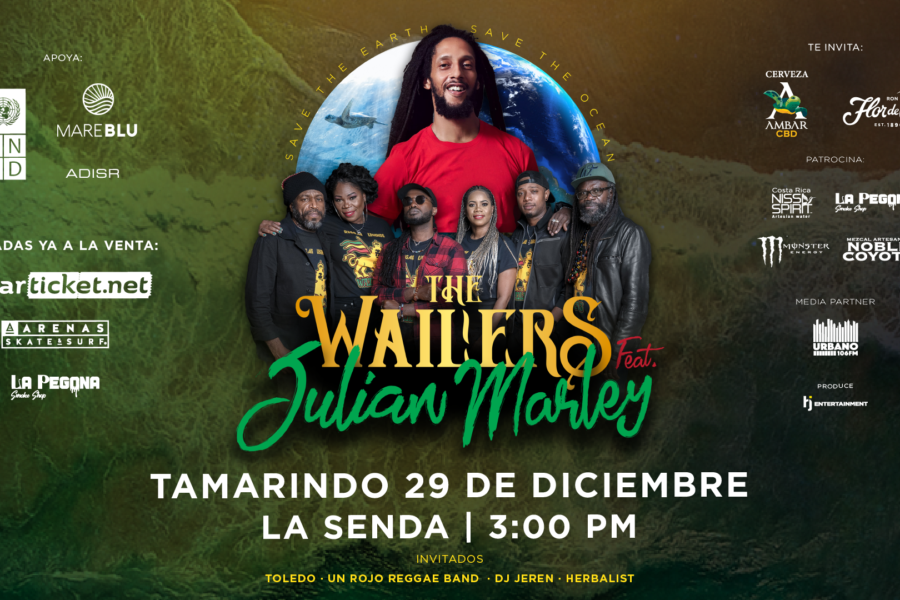 The Wailers Featuring Julian Marley